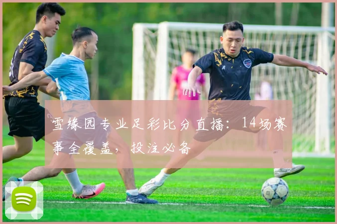 雪缘园专业足彩比分直播：14场赛事全覆盖，投注必备