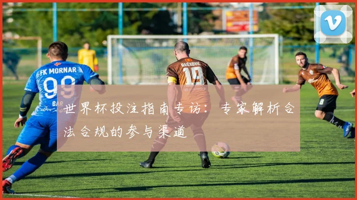 世界杯投注指南专访：专家解析合法合规的参与渠道