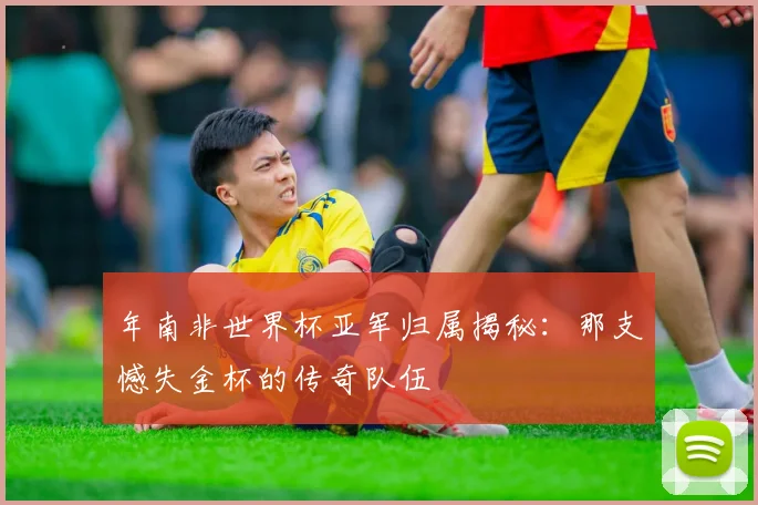 年南非世界杯亚军归属揭秘：那支憾失金杯的传奇队伍