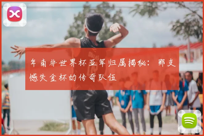 年南非世界杯亚军归属揭秘：那支憾失金杯的传奇队伍