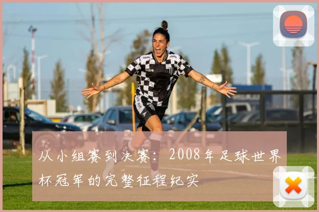 从小组赛到决赛：2008年足球世界杯冠军的完整征程纪实