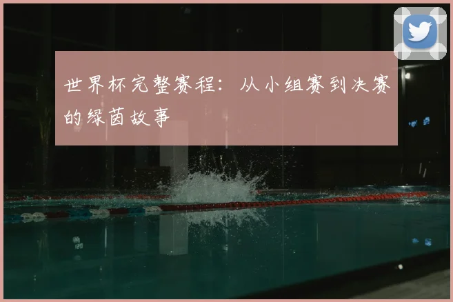 世界杯完整赛程：从小组赛到决赛的绿茵故事