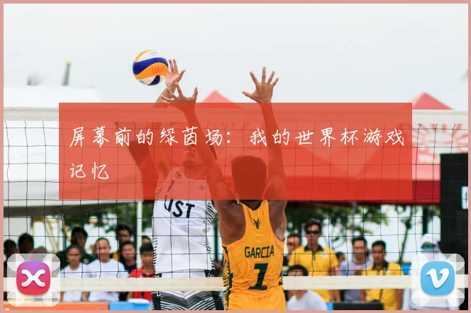 屏幕前的绿茵场：我的世界杯游戏记忆