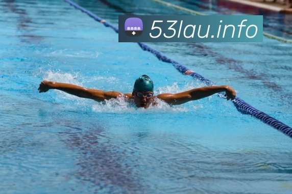 九游在线官网j9平台生态图